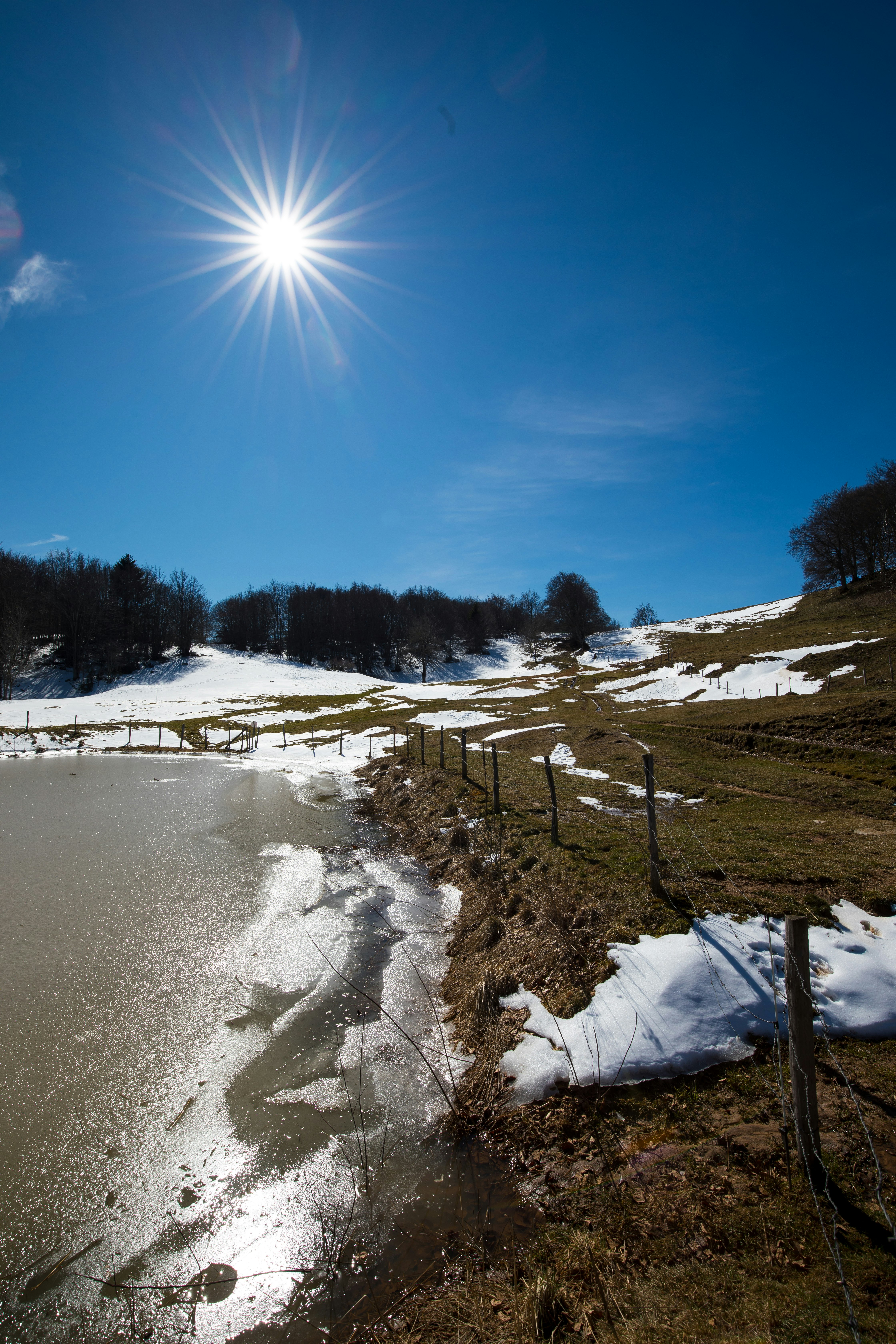 snow covered field under blue sky during daytime